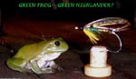 Green Frog and Green Highlander